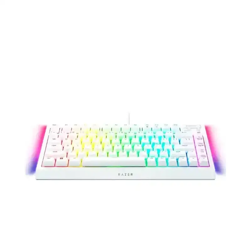 کیبورد  گیمینگ ریزر  BlackWidow V4 Mechanical